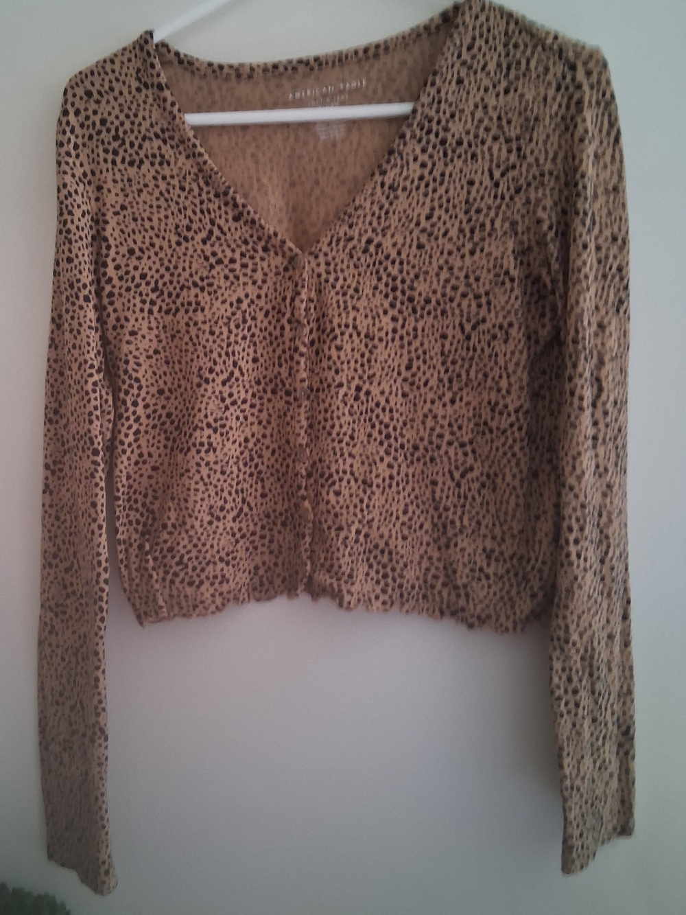 American Eagle Outfitters Beige Leopard Print V-Neck Cropped Top